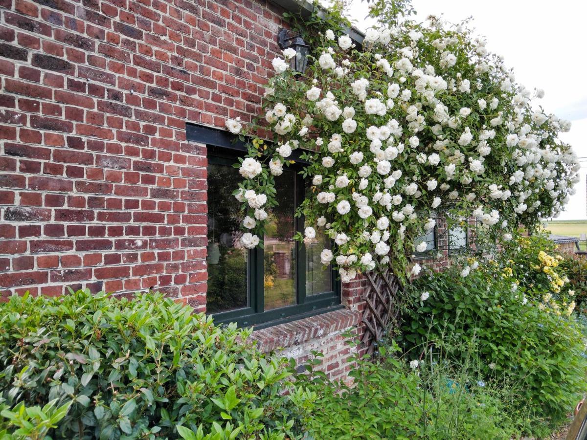Gite Rural Les Petites Tetes Leuze-en-Hainaut Eksteriør billede